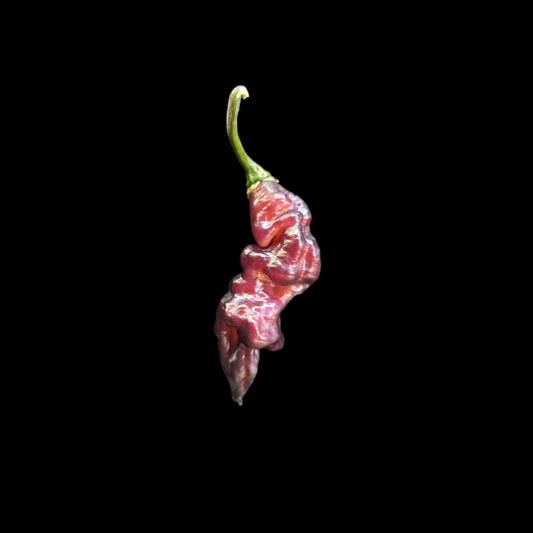 Pandemonio