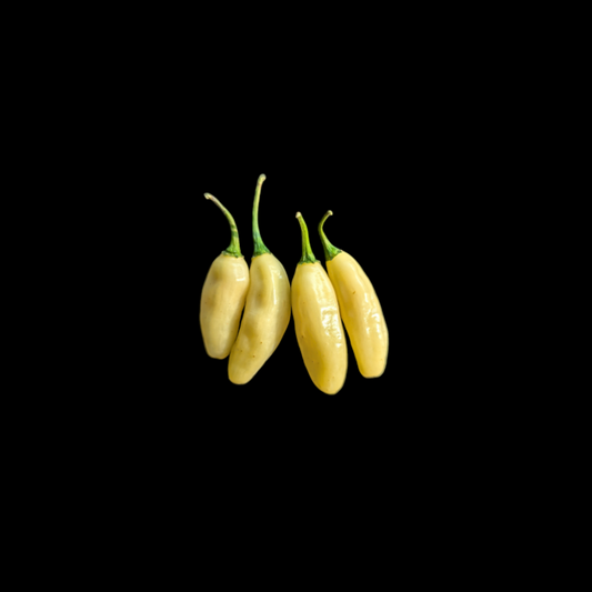 Peruvian White Habanero