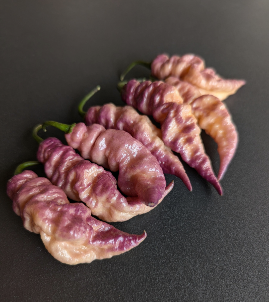 Pimenta Bela Purple