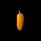 Jalapeño Pumpkin Spice