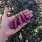 Purple Dream