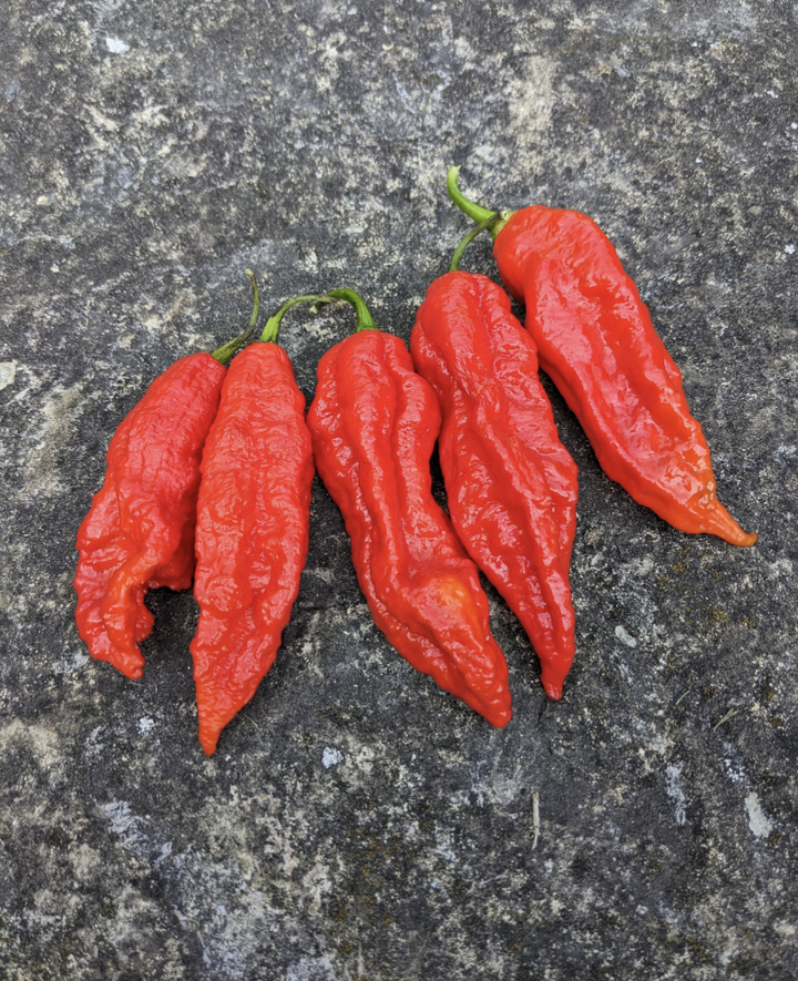 Super Hot Pepper Seeds – Scoville Canada