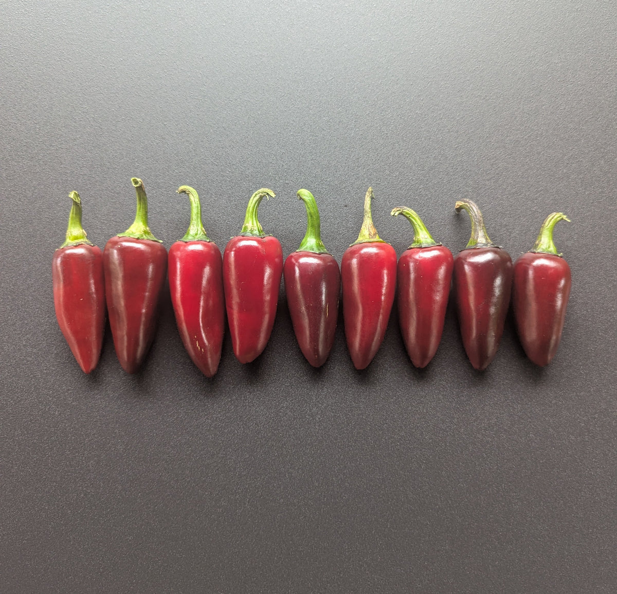 Ruby Jalapeño