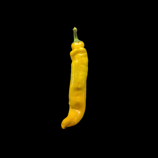 Sweet Palermo Yellow