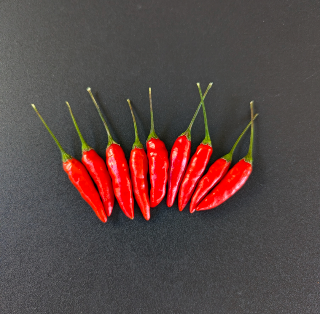 Tabasco