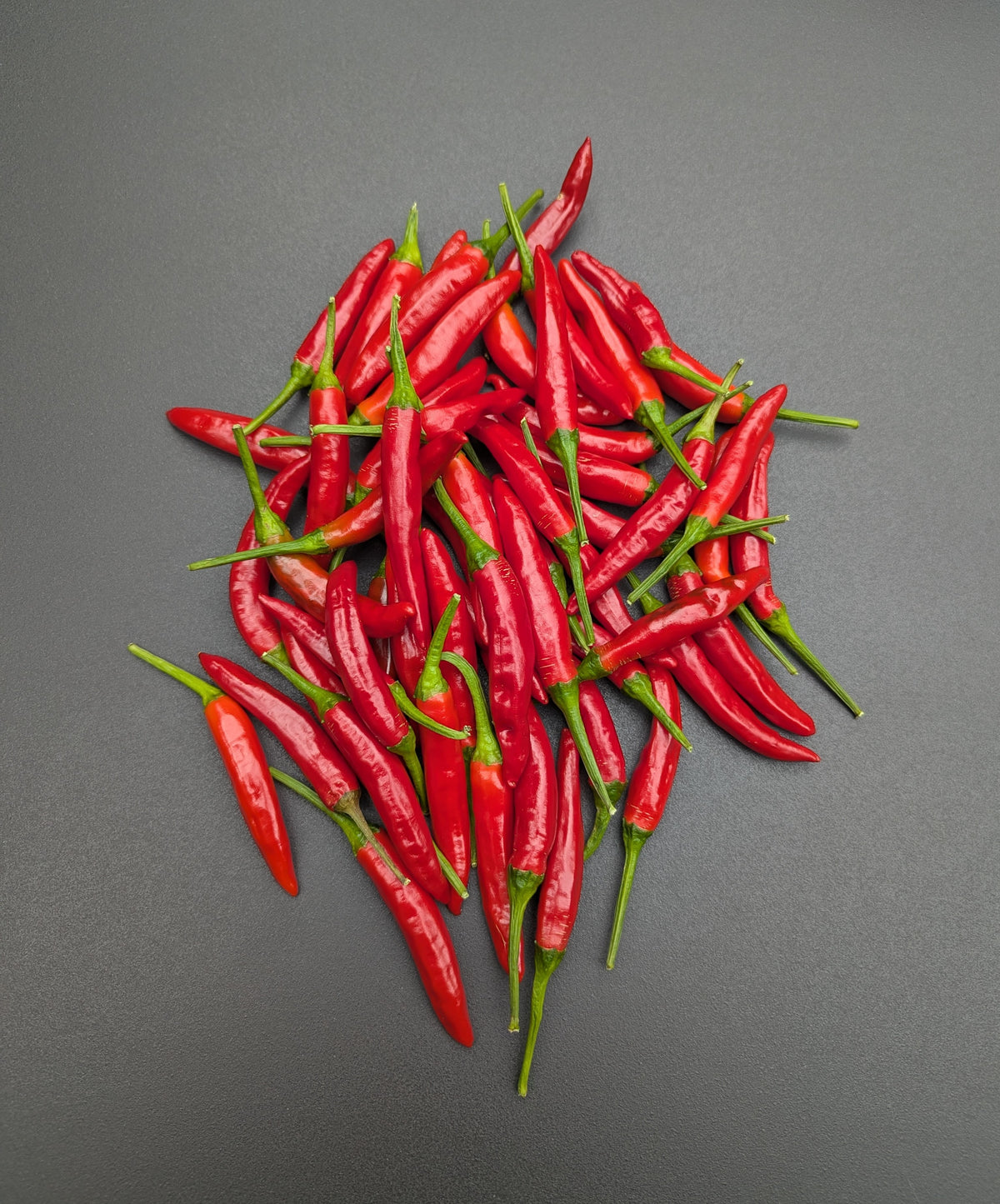 Thai Chili