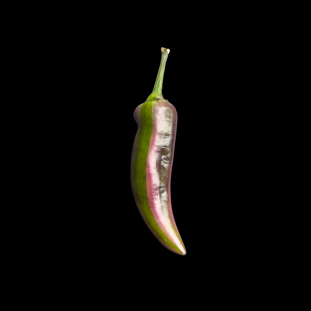 Tiger Jalapeño