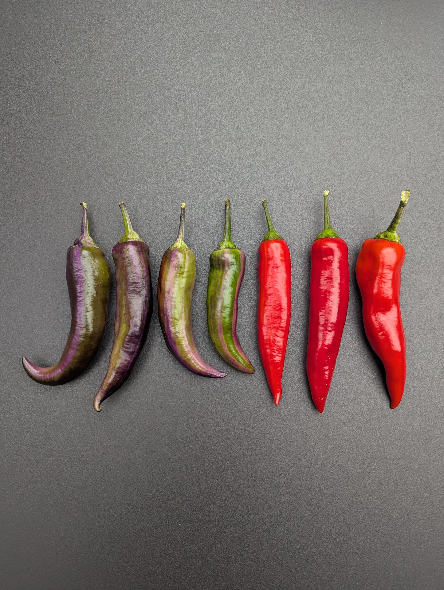 Tiger Jalapeño