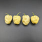 White Habanero